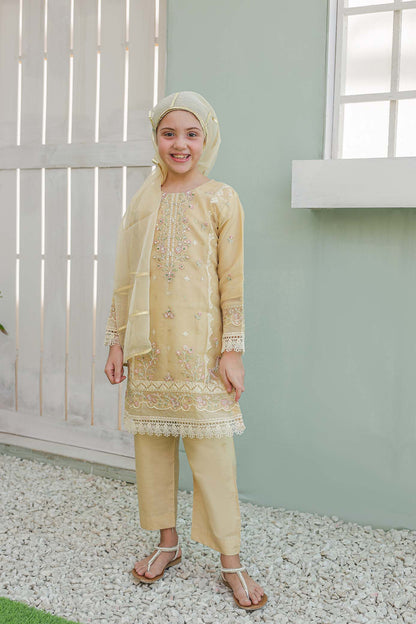 LUXE سہیلی – Girls 3-Pc Embroidered Organza Dress with Handwork | SUNtex Fabrics