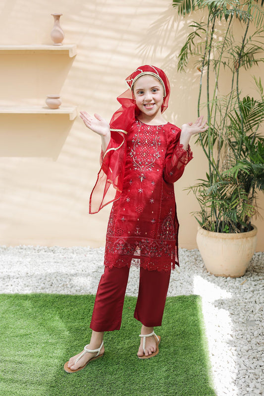 LUXE سہیلی – Girls 3-Pc Embroidered Organza Dress with Handwork | SUNtex Fabrics